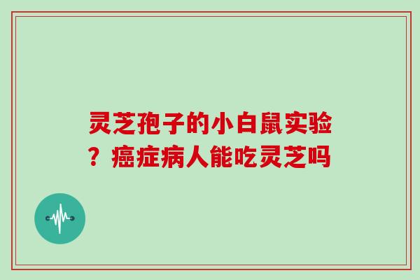 灵芝孢子的小白鼠实验?症人能吃灵芝吗 灵芝孢子的小白鼠实验?症人能吃灵芝吗