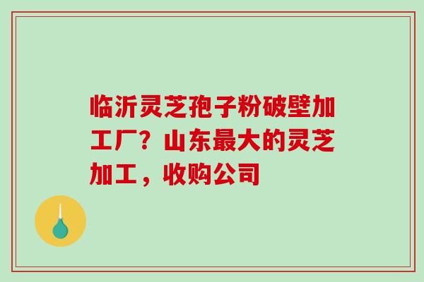 临沂灵芝孢子粉破壁加工厂?山东大的灵芝加工,收购公司 临沂灵芝孢子粉破壁加工厂?山东大的灵芝加工,收购公司