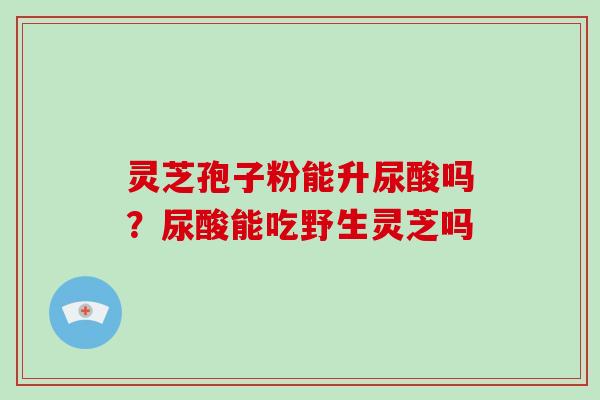 灵芝孢子粉能升尿酸吗?尿酸能吃野生灵芝吗 灵芝孢子粉能升尿酸吗?尿酸能吃野生灵芝吗