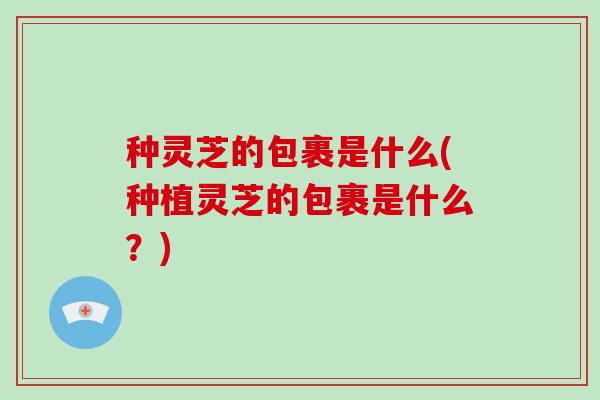 种灵芝的包裹是什么(种植灵芝的包裹是什么？)