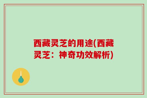 西藏灵芝的用途(西藏灵芝:神奇功效解析) 西藏灵芝的用途(西藏灵芝:神奇功效解析)