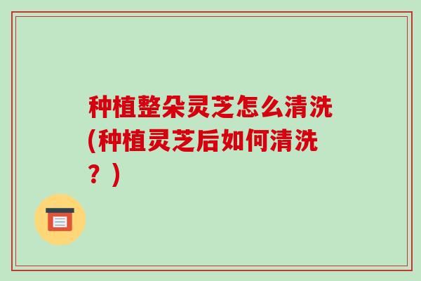 种植整朵灵芝怎么清洗(种植灵芝后如何清洗?) 种植整朵灵芝怎么清洗(种植灵芝后如何清洗?)