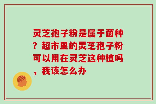 灵芝孢子粉是属于菌种?超市里的灵芝孢子粉可以用在灵芝这种植吗,我该怎么办 灵芝孢子粉是属于菌种?超市里的灵芝孢子粉可以用在灵芝这种植吗,我该怎么办