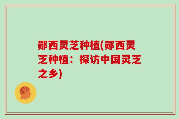 郧西灵芝种植(郧西灵芝种植:探访中国灵芝之乡) 郧西灵芝种植(郧西灵芝种植:探访中国灵芝之乡)