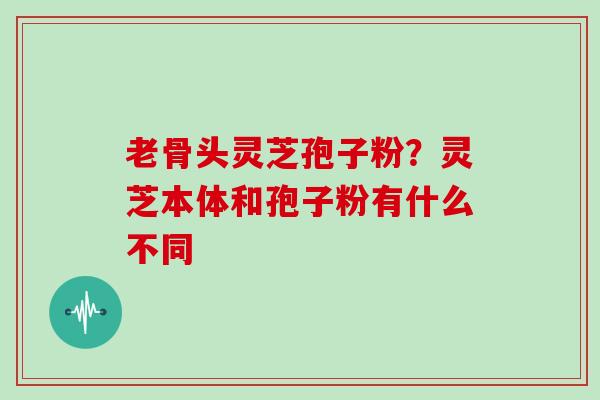 老骨头灵芝孢子粉?灵芝本体和孢子粉有什么不同 老骨头灵芝孢子粉?灵芝本体和孢子粉有什么不同