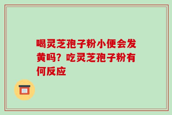 喝灵芝孢子粉小便会发黄吗?吃灵芝孢子粉有何反应 喝灵芝孢子粉小便会发黄吗?吃灵芝孢子粉有何反应