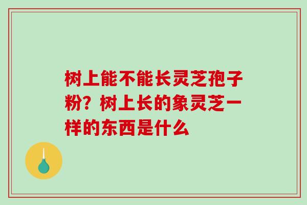 树上能不能长灵芝孢子粉?树上长的象灵芝一样的东西是什么 树上能不能长灵芝孢子粉?树上长的象灵芝一样的东西是什么
