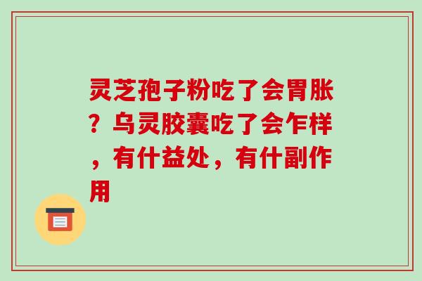 灵芝孢子粉吃了会胃胀？乌灵胶囊吃了会乍样，有什益处，有什副作用