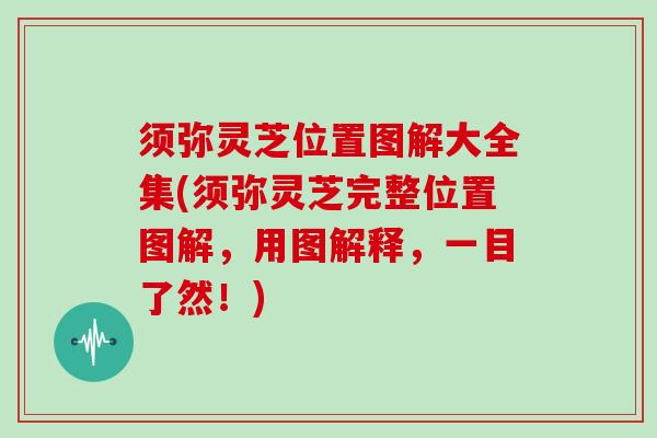 须弥灵芝位置图解大全集(须弥灵芝完整位置图解,用图解释,一目了然!) 须弥灵芝位置图解大全集(须弥灵芝完整位置图解,用图解释,一目了然!)