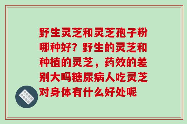 野生灵芝和灵芝孢子粉哪种好？野生的灵芝和种植的灵芝，的差别大吗人吃灵芝对身体有什么好处呢
