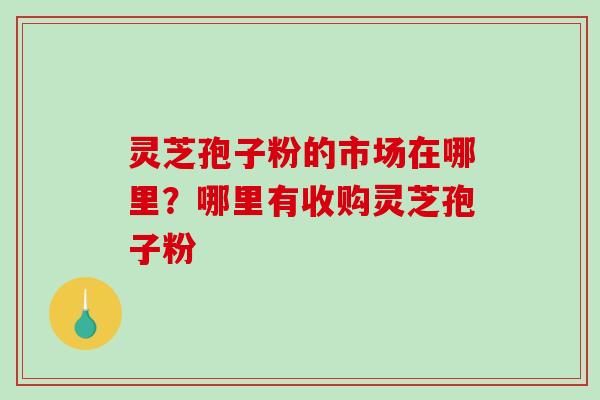 灵芝孢子粉的市场在哪里？哪里有收购灵芝孢子粉