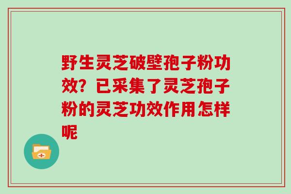 野生灵芝破壁孢子粉功效？已采集了灵芝孢子粉的灵芝功效作用怎样呢