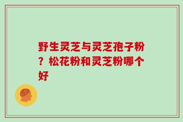 野生灵芝与灵芝孢子粉？松花粉和灵芝粉哪个好
