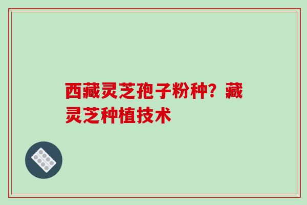 西藏灵芝孢子粉种？藏灵芝种植技术