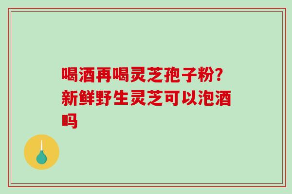 喝酒再喝灵芝孢子粉？新鲜野生灵芝可以泡酒吗