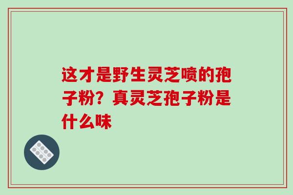 这才是野生灵芝喷的孢子粉？真灵芝孢子粉是什么味