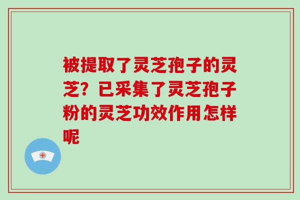 被提取了灵芝孢子的灵芝？已采集了灵芝孢子粉的灵芝功效作用怎样呢