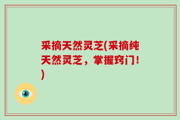 采摘天然灵芝(采摘纯天然灵芝，掌握窍门！)