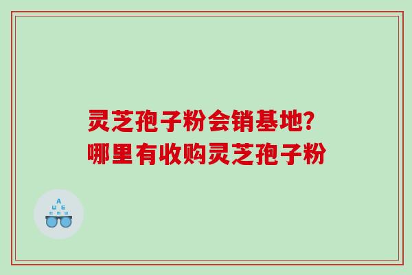 灵芝孢子粉会销基地？哪里有收购灵芝孢子粉