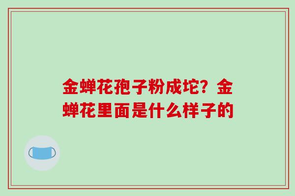 金蝉花孢子粉成坨？金蝉花里面是什么样子的