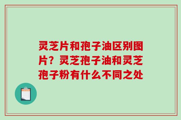 灵芝片和孢子油区别图片？灵芝孢子油和灵芝孢子粉有什么不同之处