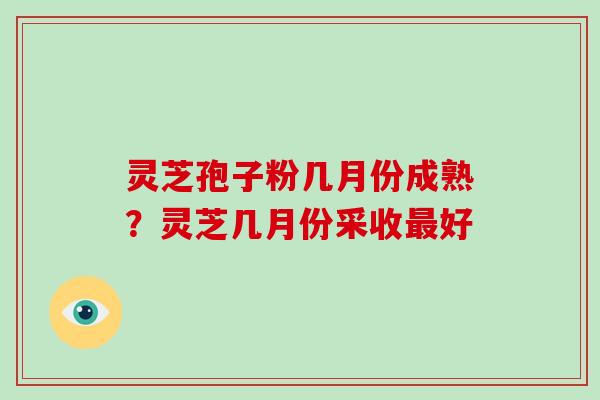 灵芝孢子粉几月份成熟？灵芝几月份采收好