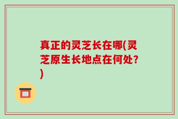 真正的灵芝长在哪(灵芝原生长地点在何处？)