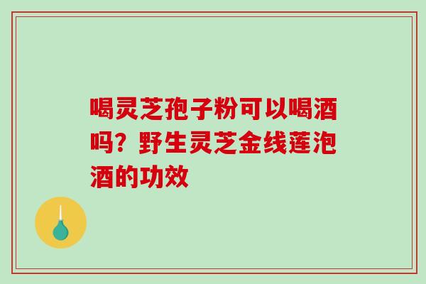 喝灵芝孢子粉可以喝酒吗？野生灵芝金线莲泡酒的功效