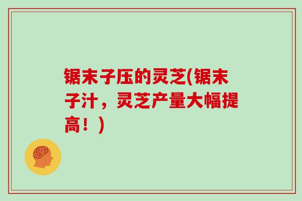 锯末子压的灵芝(锯末子汁，灵芝产量大幅提高！)