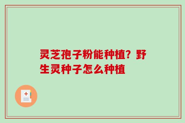 灵芝孢子粉能种植？野生灵种子怎么种植