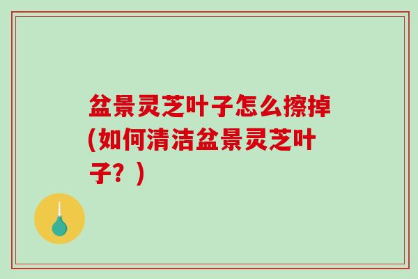 盆景灵芝叶子怎么擦掉(如何清洁盆景灵芝叶子？)
