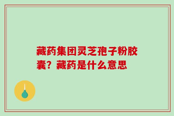 藏药集团灵芝孢子粉胶囊？藏药是什么意思