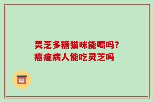 灵芝多糖猫咪能喝吗？症人能吃灵芝吗