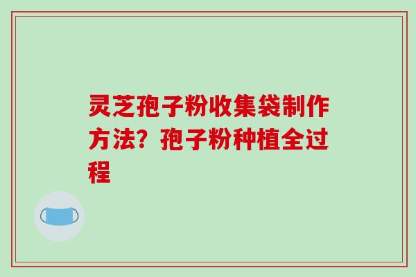 灵芝孢子粉收集袋制作方法？孢子粉种植全过程