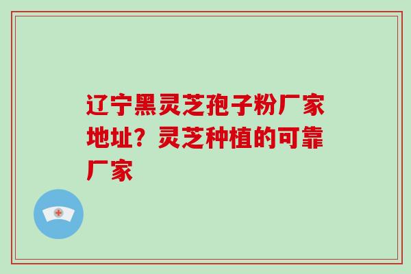 辽宁黑灵芝孢子粉厂家地址？灵芝种植的可靠厂家