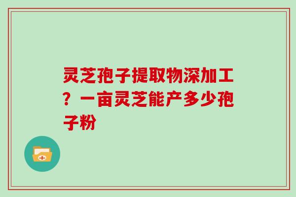 灵芝孢子提取物深加工？一亩灵芝能产多少孢子粉
