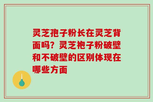 灵芝孢子粉长在灵芝背面吗？灵芝袍子粉破壁和不破壁的区别体现在哪些方面