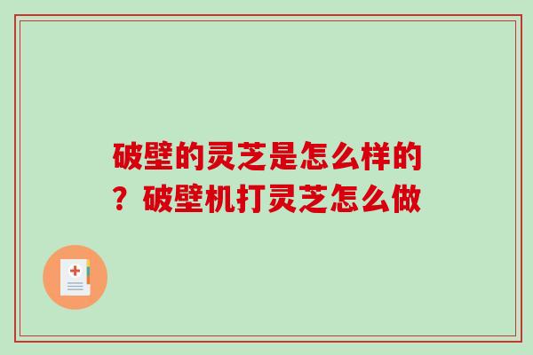 破壁的灵芝是怎么样的？破壁机打灵芝怎么做