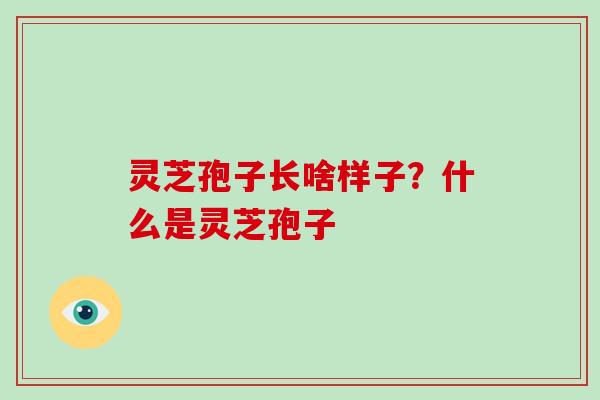 灵芝孢子长啥样子？什么是灵芝孢子