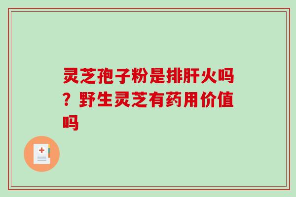 灵芝孢子粉是排火吗？野生灵芝有药用价值吗