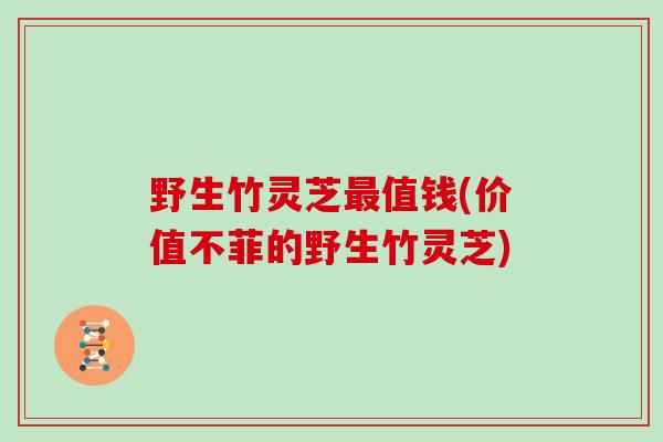 野生竹灵芝值钱(价值不菲的野生竹灵芝)