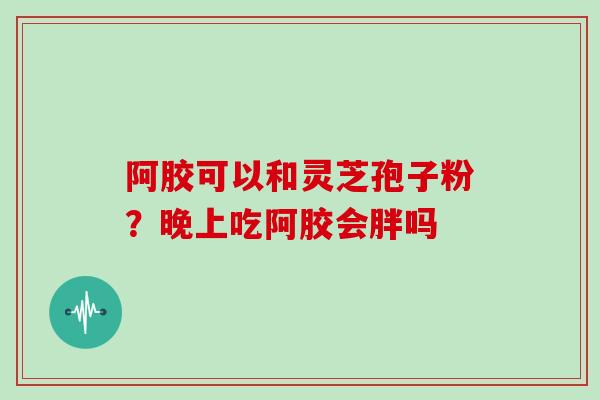 阿胶可以和灵芝孢子粉？晚上吃阿胶会胖吗