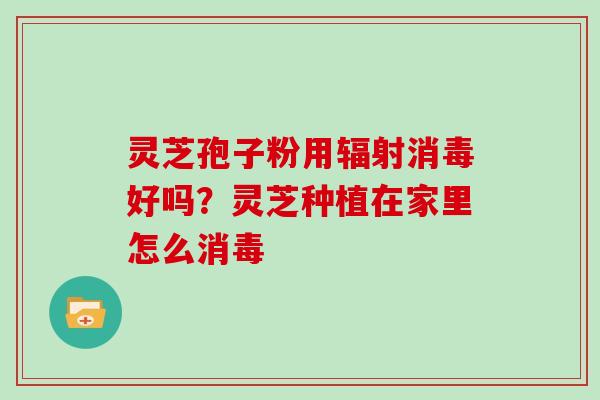 灵芝孢子粉用消毒好吗？灵芝种植在家里怎么消毒