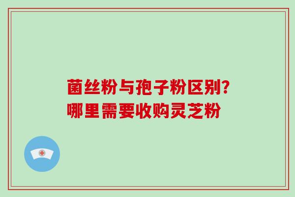 菌丝粉与孢子粉区别？哪里需要收购灵芝粉