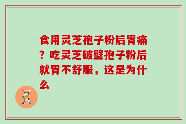 食用灵芝孢子粉后胃痛？吃灵芝破壁孢子粉后就胃不舒服，这是为什么