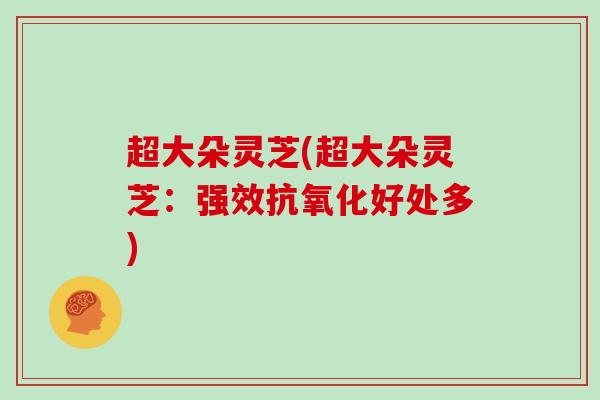 超大朵灵芝(超大朵灵芝：强效好处多)