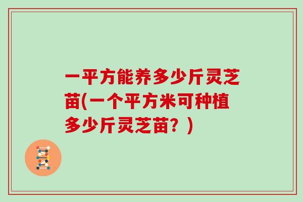 一平方能养多少斤灵芝苗(一个平方米可种植多少斤灵芝苗？)