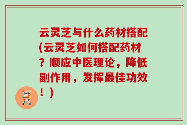 云灵芝与什么药材搭配(云灵芝如何搭配药材？顺应中医理论，降低副作用，发挥佳功效！)