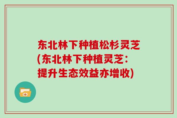 东北林下种植松杉灵芝(东北林下种植灵芝：提升生态效益亦增收)