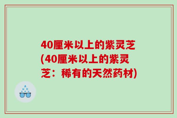 40厘米以上的紫灵芝(40厘米以上的紫灵芝：稀有的天然药材)
